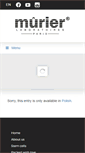 Mobile Screenshot of murier.com